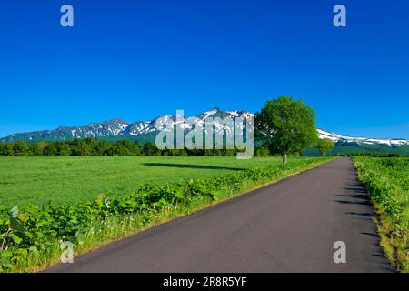 Angus Ranch und Taisetsu Zan Stockfoto