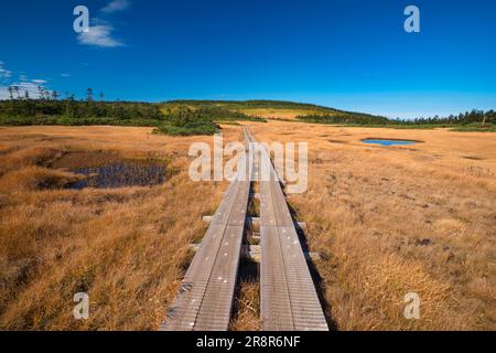 Hachiman Marsh Feuchtgebiet Hachimantai im Herbst Stockfoto