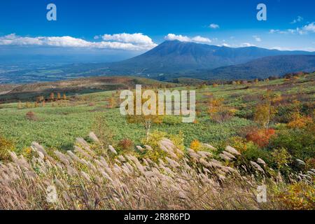 Berg Iwateyama und Farbenblätter aus Hachimantai Stockfoto