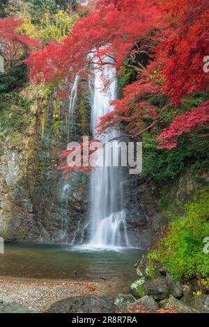 Minootaki-Wasserfall im Herbst Stockfoto