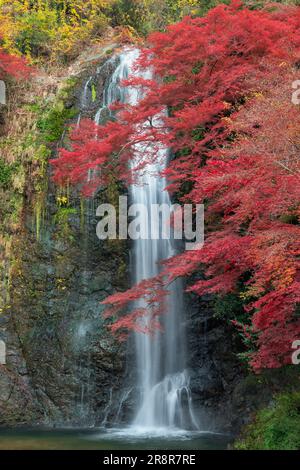 Minootaki-Wasserfall im Herbst Stockfoto