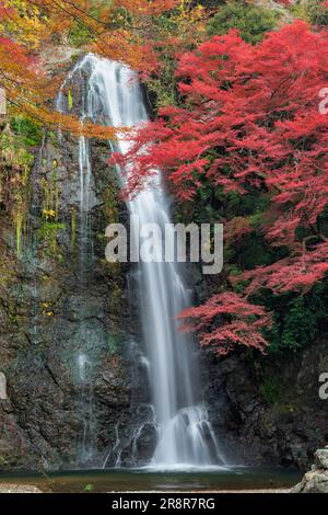 Minootaki-Wasserfall im Herbst Stockfoto