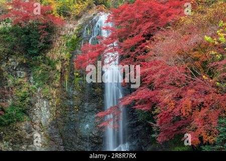 Minootaki-Wasserfall im Herbst Stockfoto