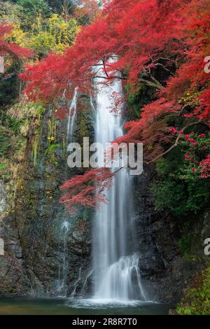 Minootaki-Wasserfall im Herbst Stockfoto