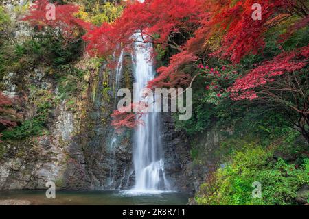 Minootaki-Wasserfall im Herbst Stockfoto