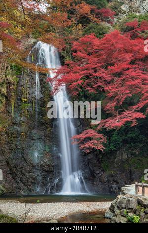 Minootaki-Wasserfall im Herbst Stockfoto