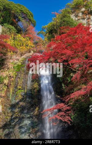 Minootaki-Wasserfall im Herbst Stockfoto