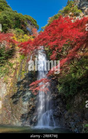 Minootaki-Wasserfall im Herbst Stockfoto