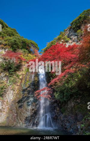 Minootaki-Wasserfall im Herbst Stockfoto