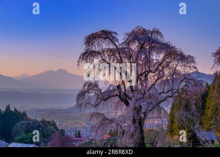 Herrliche Kirsche im Wasser und der abendliche Blick auf den Berg Myokozan Stockfoto