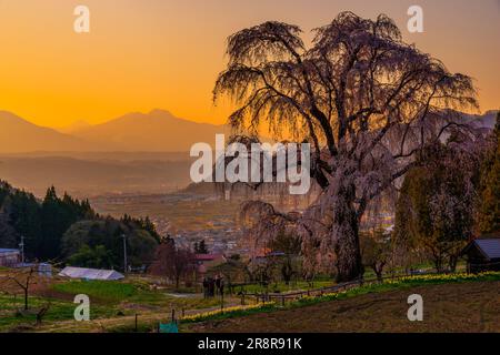 Herrliche Kirsche im Wasser und der abendliche Blick auf den Berg Myokozan Stockfoto