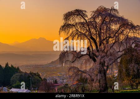 Herrliche Kirsche im Wasser und der abendliche Blick auf den Berg Myokozan Stockfoto