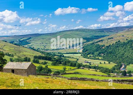 Swaledale in den Yorkshire Dales. Hoch über dem Dorf Gunnerside mit Steinscheunen, Bauernhöfen, Trockenmauern und Wiesen und dem Fluss SWA Stockfoto