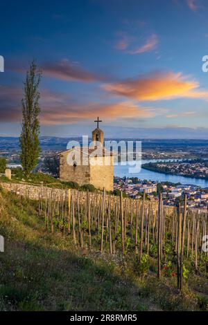 Grand Cru Vineyard und Kapelle des Heiligen Christopher, Tain l'Eremitage, Rhone-Alpes, Frankreich Stockfoto