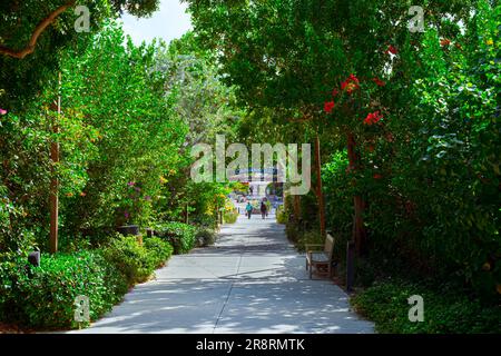 Grand Cayman, Cayman Island, Februar 2023, Blick auf einen Pfad mit üppiger Vegetation, der zum Eingang der Camana Bay führt, einem Ort am Wasser Stockfoto