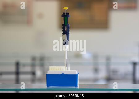 Mikropipette im Chemielabor. Stockfoto