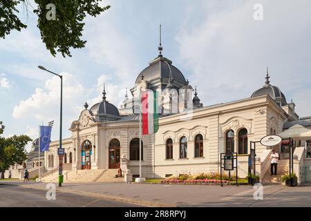 Budapest, Ungarn - Juni 21 2018: Die Eisbahn und Bootstouren im Stadtpark (Ungarisch: Városligeti Műjégpálya és Csónakázótó) ist eine öffentliche Eisbahn im Winter Stockfoto