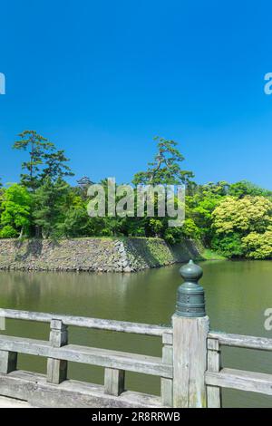 Schloss Matsue und Fluss Horikawa in frischem Grün Stockfoto