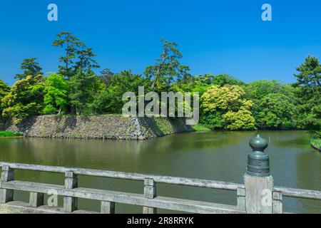 Schloss Matsue und Fluss Horikawa in frischem Grün Stockfoto