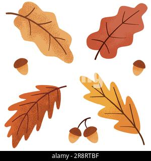 Herbstgarnitur aus botanischer Eiche, Blättern und Eicheln Stock Vektor