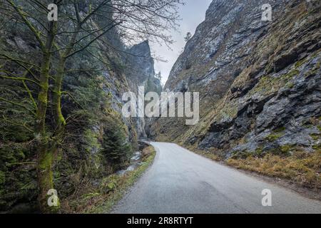 Eine Straße, die durch eine felsige Straße führt. Die Maninska-Schlucht im Nordwesten der Slowakei, Europa. Stockfoto