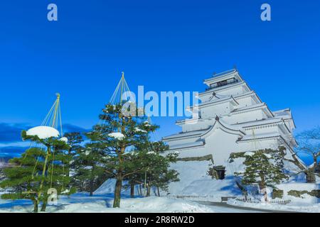 Abendlicher Blick auf das Schloss Tsuruga im Schnee Stockfoto