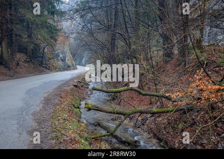 Eine Straße, die durch eine felsige Straße führt. Die Maninska-Schlucht im Nordwesten der Slowakei, Europa. Stockfoto