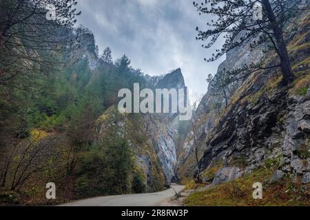 Eine Straße, die durch eine felsige Straße führt. Die Maninska-Schlucht im Nordwesten der Slowakei, Europa. Stockfoto