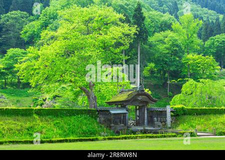 Ichijodani Asakura Clans Ruinen in frischem Grün Stockfoto