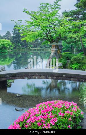 Kenrokuen Garden in frshgrüner und Kanincheniris Stockfoto