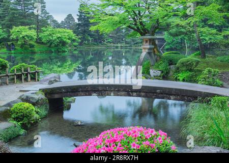 Kenrokuen Garden in frshgrüner und Kanincheniris Stockfoto