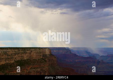 Am späten Nachmittag zieht die Duschwolke durch den Südrand des Grand Canyon, Arizona USA Stockfoto