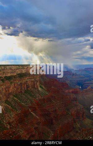 Am späten Nachmittag zieht die Duschwolke durch den Südrand des Grand Canyon, Arizona USA Stockfoto