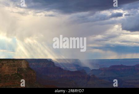 Am späten Nachmittag zieht die Duschwolke durch den Südrand des Grand Canyon, Arizona USA Stockfoto