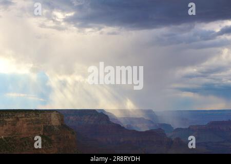 Am späten Nachmittag zieht die Duschwolke durch den Südrand des Grand Canyon, Arizona USA Stockfoto