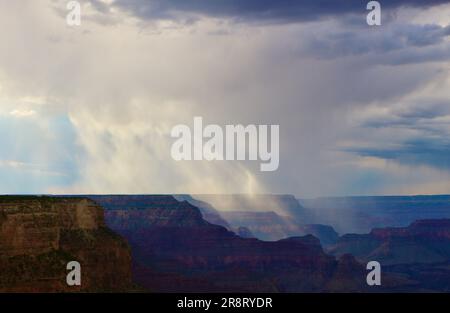 Am späten Nachmittag zieht die Duschwolke durch den Südrand des Grand Canyon, Arizona USA Stockfoto