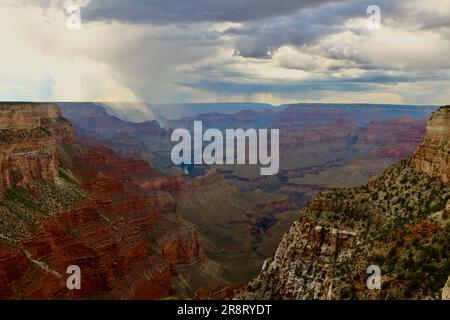 Am späten Nachmittag zieht die Duschwolke durch den Südrand des Grand Canyon, Arizona USA Stockfoto