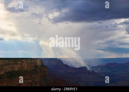 Am späten Nachmittag zieht die Duschwolke durch den Südrand des Grand Canyon, Arizona USA Stockfoto