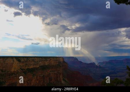 Am späten Nachmittag zieht die Duschwolke durch den Südrand des Grand Canyon, Arizona USA Stockfoto