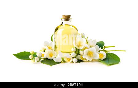 Weiße Jasminblüten mit grünen Blättern und transparente Glasflasche Stockfoto