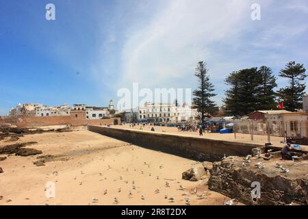 Blick aus der Vogelperspektive auf die Altstadt von Essaouira in Marokko Stockfoto