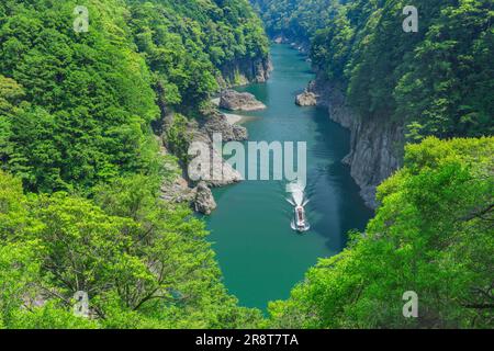 Shatorokyo-Schlucht und Vergnügungsboot im Frühsommer Stockfoto