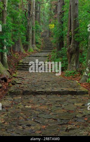 Kumano Kodo im Regen Stockfoto