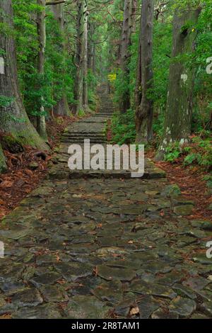 Kumano Kodo im Regen Stockfoto