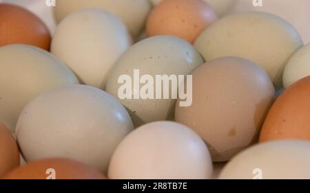 Frisch aus biologischem Anbau gezüchtete Hühnereier in vielen Farben Stockfoto