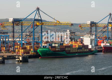 Belfast Harbour, Nordirland, Vereinigtes Königreich. Containerschiffe, die im Hafen von Belfast, Nordirland, Frachtcontainer beladen und entladen. Stockfoto