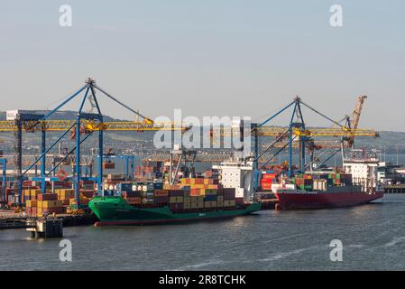 Belfast Harbour, Nordirland, Vereinigtes Königreich. Containerschiffe, die im Hafen von Belfast, Nordirland, Frachtcontainer beladen und entladen. Stockfoto