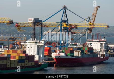 Belfast Harbour, Nordirland, Vereinigtes Königreich. Containerschiffe, die im Hafen von Belfast, Nordirland, Frachtcontainer beladen und entladen. Stockfoto