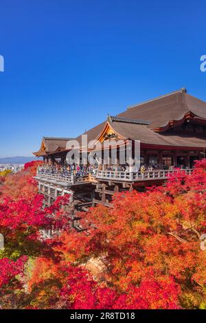 Die Haupthalle Kiyomizu-dera im Herbstlaub Stockfoto