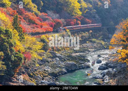 Sagano Trolley Car und Hozugawa River Rafting im Herbst Stockfoto